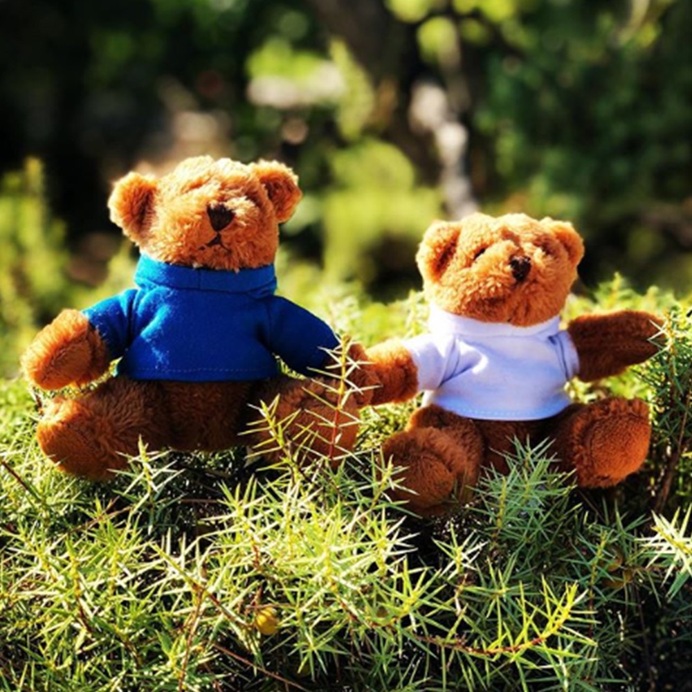 Orsetto di peluche portachiavi - Regali a sorpresa per l'accoglienza dei bambini in hotel
