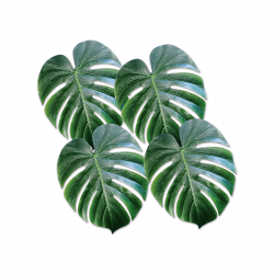 Decoración de verano para restaurantes - Accesorios festivos de verano