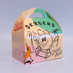 lunchbox kids en carton modèle skaters