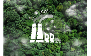 Eco-participation in children's furniture and games - The impact on catering professionals