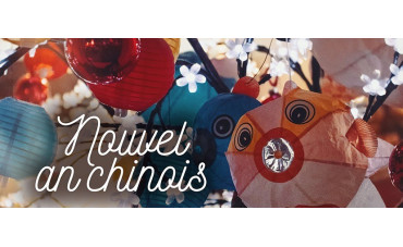 The Chinese New Year is coming soon!